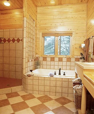 Master bathroom shower and soaker tub